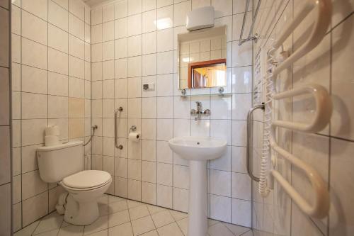 La salle de bains est pourvue de toilettes et d'un lavabo. dans l'établissement FWP Rybniczanka - Wanda, à Lądek-Zdrój