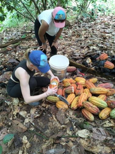 two women are standing around a pile of corn at Cabañas eco lógicas mu'ü in Loreto Mocagua