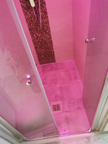 a pink bathroom with a shower with purple floor at Im Herzen des Kraichgaus 2 in Östringen