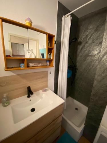 uma casa de banho com um lavatório e um chuveiro em Chalet Jonquille em Valfréjus