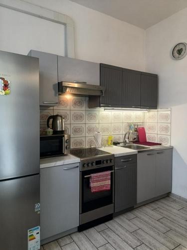 a kitchen with a stove and a refrigerator at Family Apartments Dorobok in Lviv