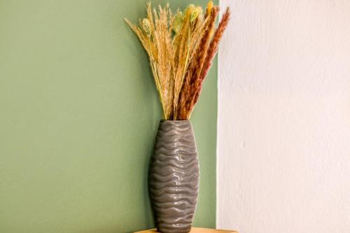 Imagen de la galería de Faidra, en Himare