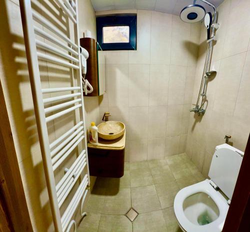 La salle de bains est pourvue de toilettes et d'un lavabo. dans l'établissement Cozy Home Kazbegi, à Kazbegi