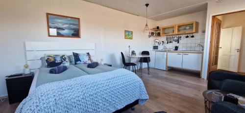a bedroom with a blue bed and a kitchen at Hagi 2 Road 62 nr 2 in Hagi