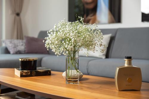 Χώρος καθιστικού στο Luxury apartment Hyperion with private pool and garden