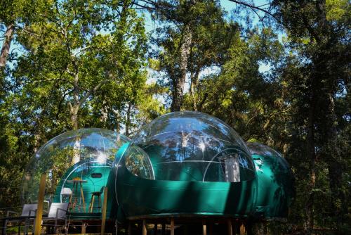 two domes in a park with trees in the background at Lo Rey du Lac in Soorts-Hossegor