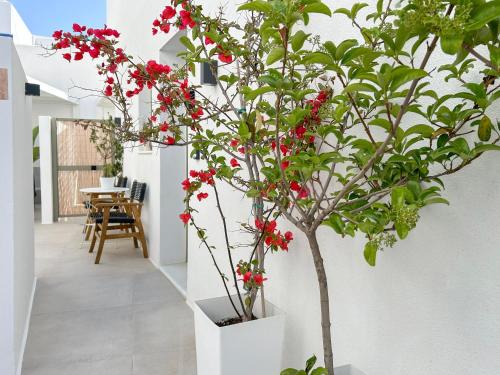Un balcón o terraza de Joelia Suites in Naousa Paros with private jacuzzi!