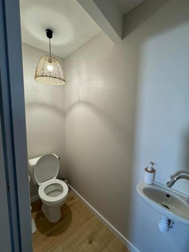 une salle de bain avec toilettes et lavabo dans l'établissement Appartement duplex 4-6 personnes, à Cerizay