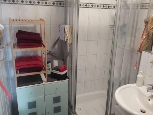 un baño con ducha y lavabo en Europaplatz, en Aachen