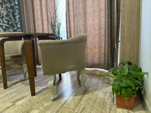 a chair sitting next to a table with a potted plant at Гостиница Низами Стрит in Baku