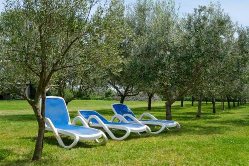 3 Stühle im Gras neben Bäumen in der Unterkunft Uliveto Apartment in Fažana