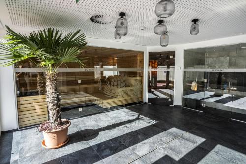 a room with a potted plant in front of a store at Chasa Helvetia Duai in Müstair