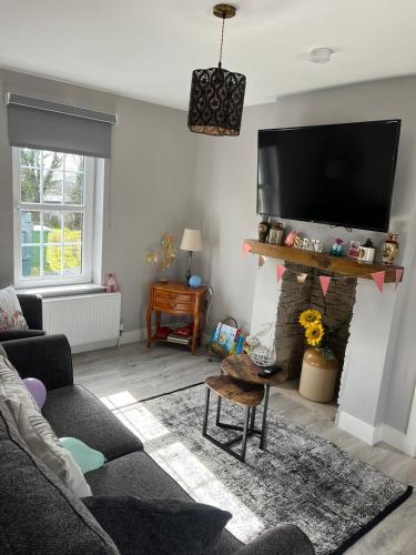 a living room with a tv and a fireplace at Terry Joe Cottages in Newry