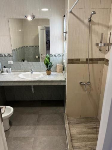 Apartamento Bolu