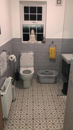 a bathroom with a toilet and a sink at Terry Joe Cottages in Newry