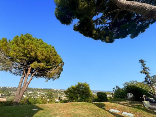 La Pastourelle - 360 Sea , Cap d'Antibes & Mountain View