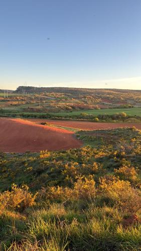una vista de un campo con un camino de tierra en Casa La Molina, en Burgos