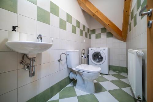 a bathroom with a toilet and a sink and a washing machine at Apartment Riviera 504-4 Lipno Home in Český Krumlov