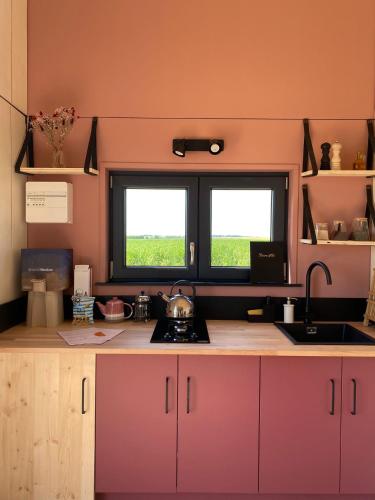 - une cuisine avec un plan de travail, un évier et 2 fenêtres dans l'établissement la Tiny house et la Cabane de l'Ouchette, à Brégy