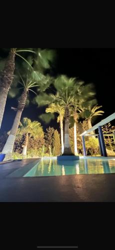 a picture of a pool with palm trees in the background at Maison bleue Bouznika in Bouznika
