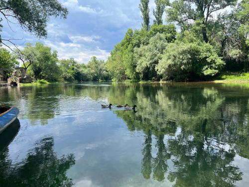 three ducks are swimming in the water on a river at Duos Rios in Mostar