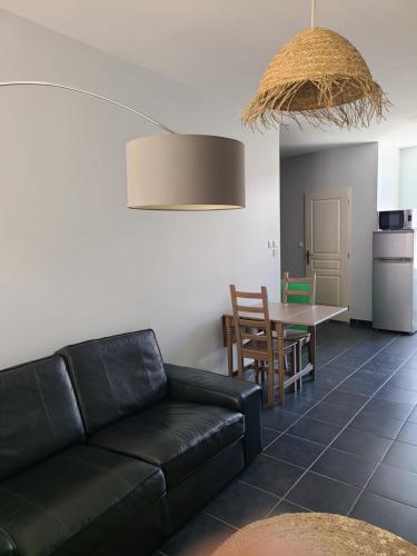 un salon avec un canapé noir et une table dans l'établissement APPT CENTRE VILLE GARE HOPITAL IUT, à Roanne