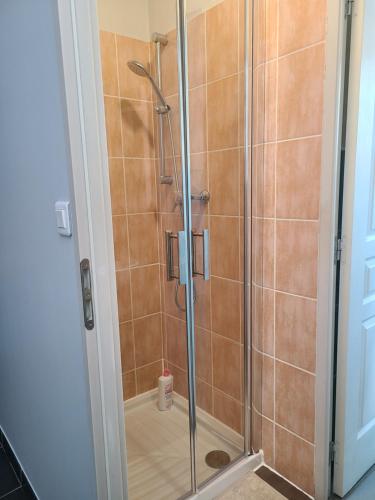 La salle de bains est pourvue d'une douche en verre. dans l'établissement APPT CENTRE VILLE GARE HOPITAL IUT, à Roanne