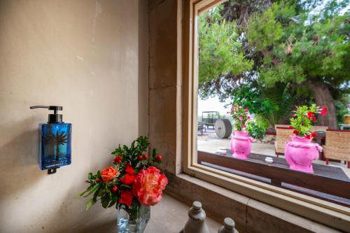 Κήπος έξω από το Terre Di Vendicari