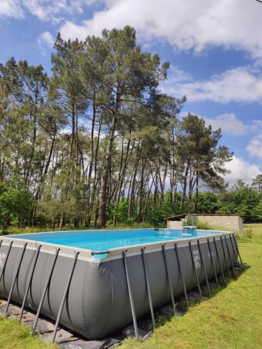 une grande piscine dans un champ arboré dans l'établissement La maison Léon, à Lesperon