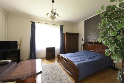 ニーレジハーザにあるMilán Apartmentのベッドルーム1室(壁に植物を植えたベッド1台付)