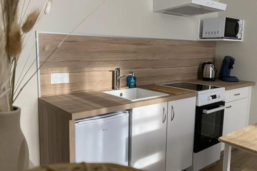 une petite cuisine avec un évier et une cuisinière dans l'établissement Le cocon du Faubourg, à Vendôme
