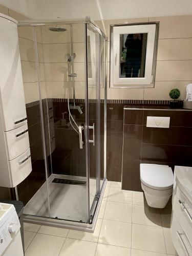 a bathroom with a shower and a toilet at Bella Vita in Trilj
