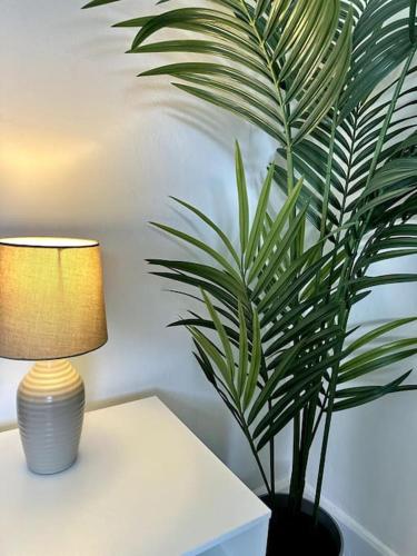 2 Bedroom City Centre House - Pet Friendly - Free Parking photo 18