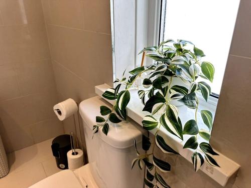 2 Bedroom City Centre House - Pet Friendly - Free Parking photo 27