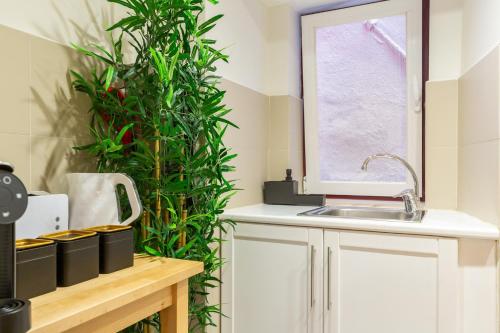 Køkken eller tekøkken på Designer Retreat- Newly remodelled 1 bedroom apt