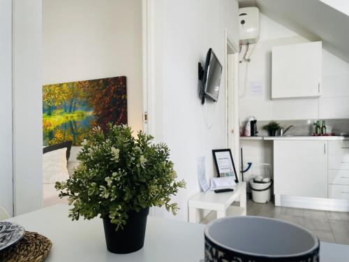 Φωτογραφία από το άλμπουμ του Apartamento Jimena Maro en el centro de Nerja σε Nerja