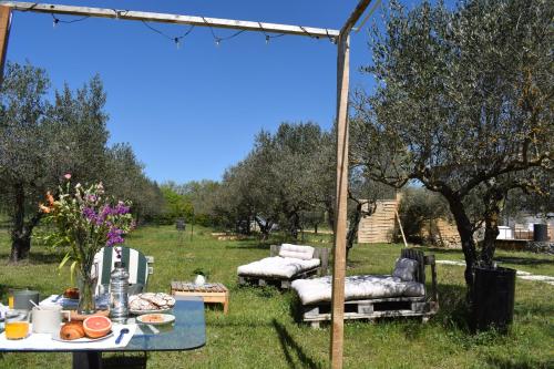 Photo de la galerie de l'établissement La Villa Les Oliviers, à La Verdière