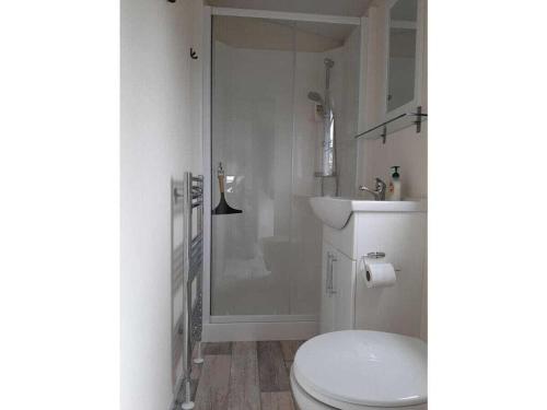 a bathroom with a shower and a toilet and a sink at Chalet Florence 3 Comfortable holiday residence in Serooskerke