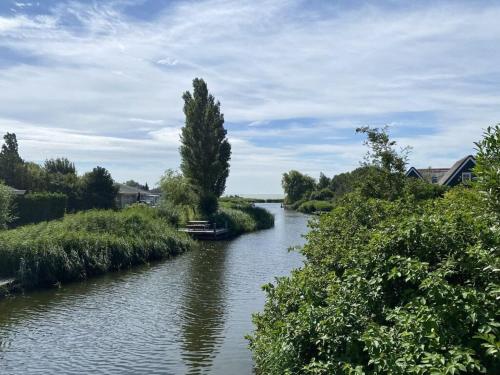 a river with a tree in the middle of it at Sunhouse Makkum Beach in Makkum
