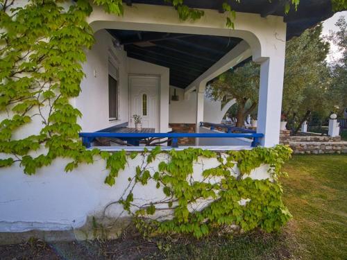 Ein Garten an der Unterkunft Toroni Dreams