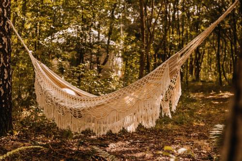 a hammock in the middle of a forest at Dacza Puchacza Glamping in Stare Osieczno