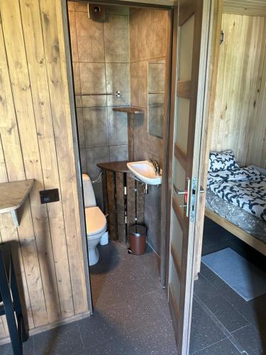 a small bathroom with a toilet and a sink at Svītrainās mājas in Pāvilosta