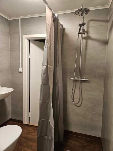 y baño con ducha y cortina de ducha. en Lilla Älvbrogården i stan en Avesta