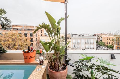 Fotografie z fotogalerie ubytování Fantástico ático 2 hab y gran terraza privada v destinaci Seville