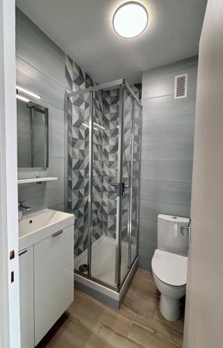 une salle de bain avec une douche, des toilettes et un lavabo dans l'établissement Studio cosy pres plage, à Blonville-sur-Mer