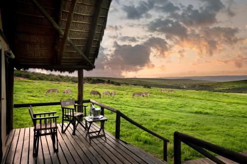a deck with a table and chairs and animals in a field at Gorah Elephant Camp in Addo