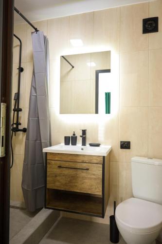a bathroom with a sink and a toilet and a mirror at VERANDA in Solotvyno