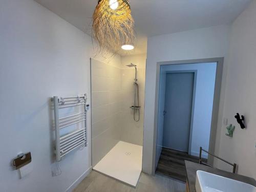 une salle de bain avec une douche, un lavabo et un miroir dans l'établissement Villa Les Pins, terrasse, piscine et jardin clôt, vue forêt, à Mimizan