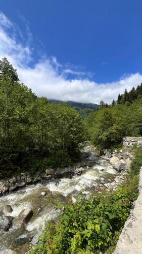 Gambar di galeri bagi 4M Ayder di Ayder Yaylasi