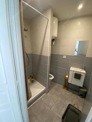 une salle de bain avec douche et toilettes dans l'établissement Studio Cosy Climatisé Centre Ville faites tout à Pied, à Narbonne